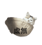 虚無ザック（個別スタンプ：24）