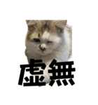 虚無ザック（個別スタンプ：30）