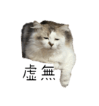 虚無ザック（個別スタンプ：31）