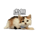 虚無ザック（個別スタンプ：32）