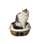 虚無ザック（個別スタンプ：39）
