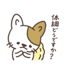 わたがしねこのわたにゃん 2（個別スタンプ：27）