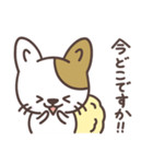 わたがしねこのわたにゃん 2（個別スタンプ：31）