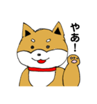 愛子とマツメンのスタンプ第2弾（個別スタンプ：17）
