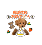 トイプーのスアちゃん♪（個別スタンプ：30）