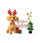トイプーのスアちゃん♪（個別スタンプ：31）
