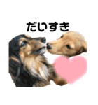 我が家の愛犬達2（個別スタンプ：12）