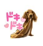 我が家の愛犬達2（個別スタンプ：20）