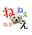 ぶんたくんとなかまたち（個別スタンプ：2）