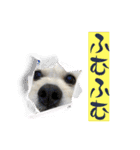 ぶんたくんとなかまたち（個別スタンプ：4）