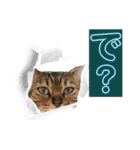ぶんたくんとなかまたち（個別スタンプ：7）