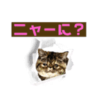 ぶんたくんとなかまたち（個別スタンプ：8）