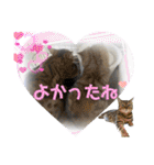 ぶんたくんとなかまたち（個別スタンプ：10）