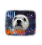 ぶんたくんとなかまたち（個別スタンプ：12）