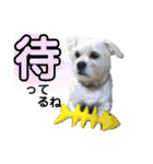 ぶんたくんとなかまたち（個別スタンプ：15）