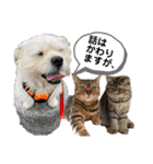 ぶんたくんとなかまたち（個別スタンプ：17）