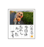 ぶんたくんとなかまたち（個別スタンプ：18）