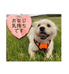 ぶんたくんとなかまたち（個別スタンプ：21）