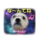 ぶんたくんとなかまたち（個別スタンプ：22）