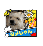ぶんたくんとなかまたち（個別スタンプ：23）
