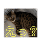 ぶんたくんとなかまたち（個別スタンプ：25）