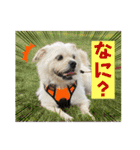 ぶんたくんとなかまたち（個別スタンプ：26）