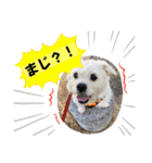 ぶんたくんとなかまたち（個別スタンプ：27）