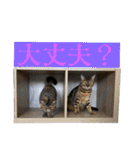 ぶんたくんとなかまたち（個別スタンプ：28）