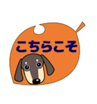 大人 優しい気遣い ダックスフンド タン 秋（個別スタンプ：22）