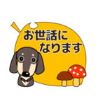 大人 優しい気遣い ダックスフンド タン 秋（個別スタンプ：30）