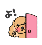 かわいいトイプーちゃんスタンプ（個別スタンプ：9）