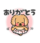 かわいいトイプーちゃんスタンプ（個別スタンプ：23）