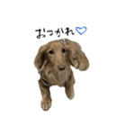 おれ、かいと。（個別スタンプ：7）