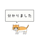 エキゾ猫「ネル」のひとこと - てくてく編（個別スタンプ：13）