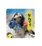 りん☆everyday4（個別スタンプ：1）