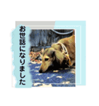 りん☆everyday4（個別スタンプ：5）