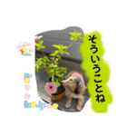 りん☆everyday4（個別スタンプ：6）