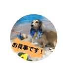 りん☆everyday4（個別スタンプ：7）
