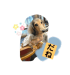 りん☆everyday4（個別スタンプ：8）