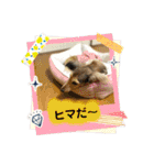 りん☆everyday4（個別スタンプ：9）