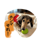 りん☆everyday4（個別スタンプ：12）
