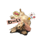 りん☆everyday4（個別スタンプ：13）