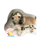 りん☆everyday4（個別スタンプ：14）