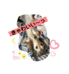 りん☆everyday4（個別スタンプ：16）