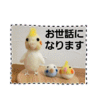 おかめインコキロと仲間4（個別スタンプ：3）