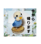 おかめインコキロと仲間4（個別スタンプ：33）