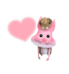 うさぎ【ホーランドロップ】のなっつくん♂（個別スタンプ：30）