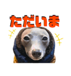 「イタグレ」〜シンプル言葉集②〜（個別スタンプ：2）