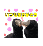 「イタグレ」〜シンプル言葉集②〜（個別スタンプ：30）
