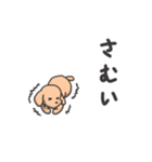 小さいわんちゃんのスタンプ（個別スタンプ：24）